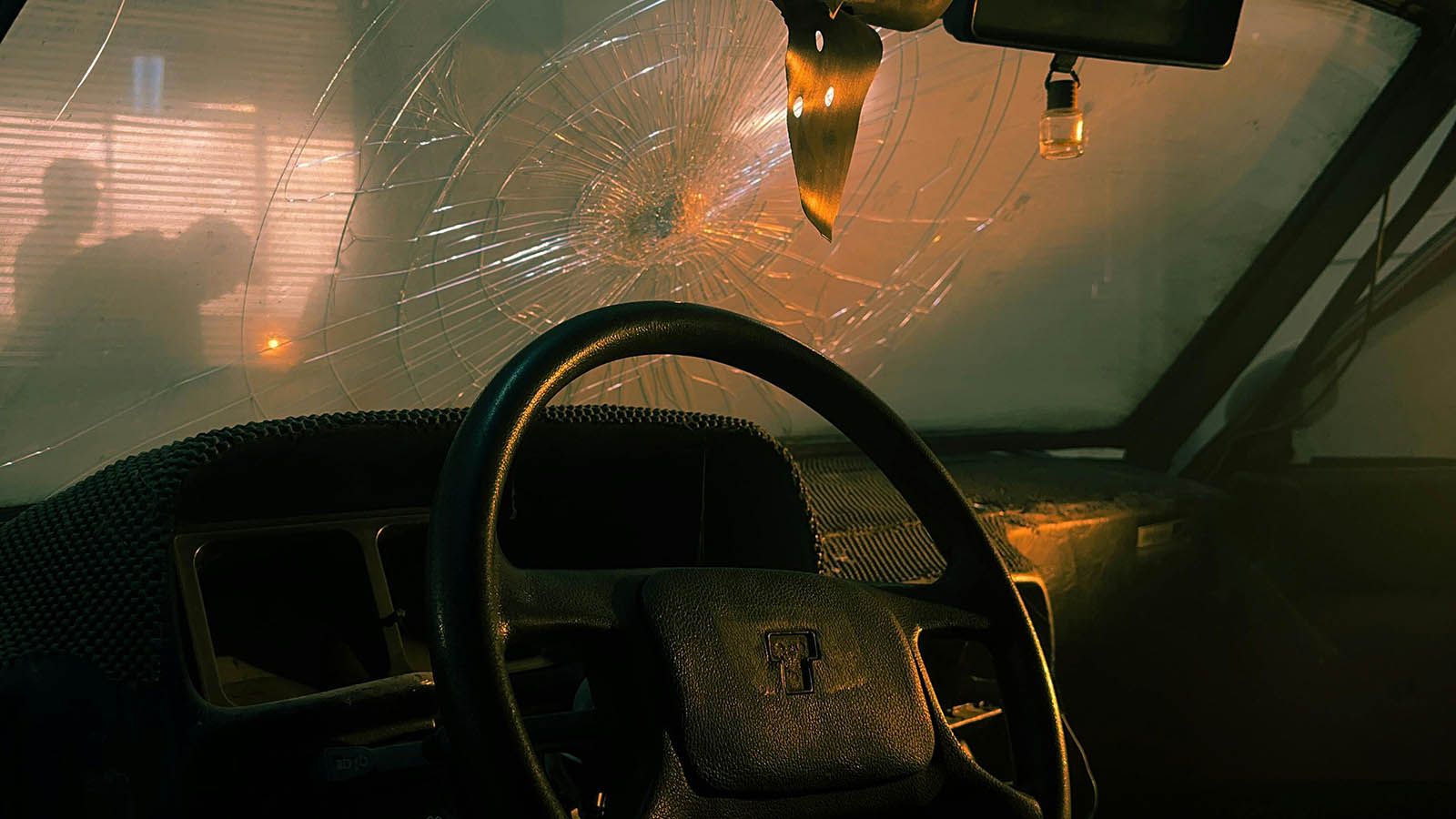 Sudar s pticom: Tko plaća štetu kad vam sova razbije auto?