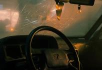 Sudar s pticom: Tko plaća štetu kad vam sova razbije auto?