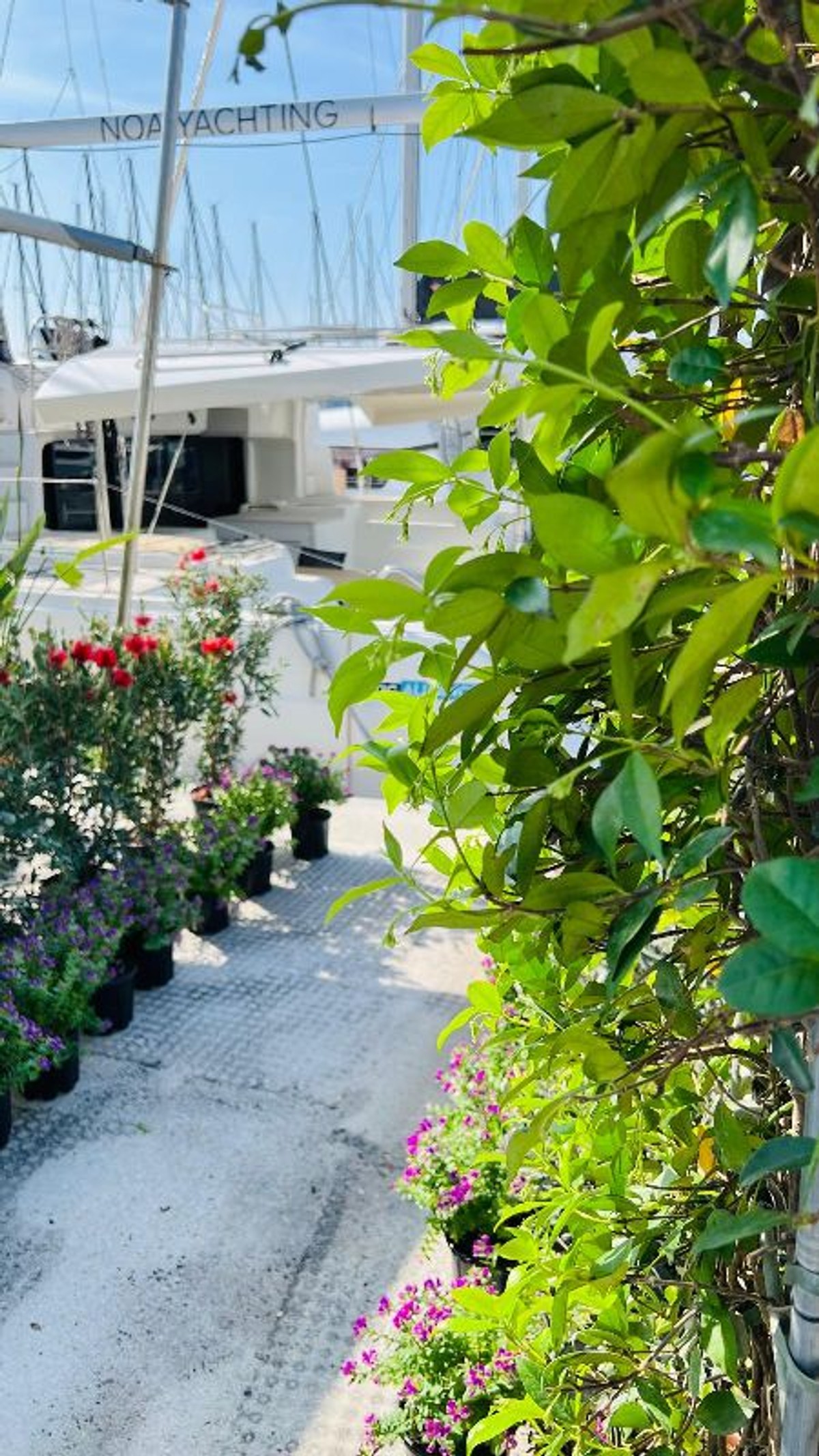 FOTO Proljetni sajam cvijeća i bilja svečano otvoren u Marini Kaštela