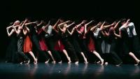 FOTOGALERIJA Vrhunac Šibenik Dance Festivala: Njemački Ballet Staatstheater Cottbus oduševio publiku na Tvrđavi sv. Mihovila