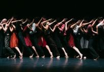 FOTOGALERIJA Vrhunac Šibenik Dance Festivala: Njemački Ballet Staatstheater Cottbus oduševio publiku na Tvrđavi sv. Mihovila