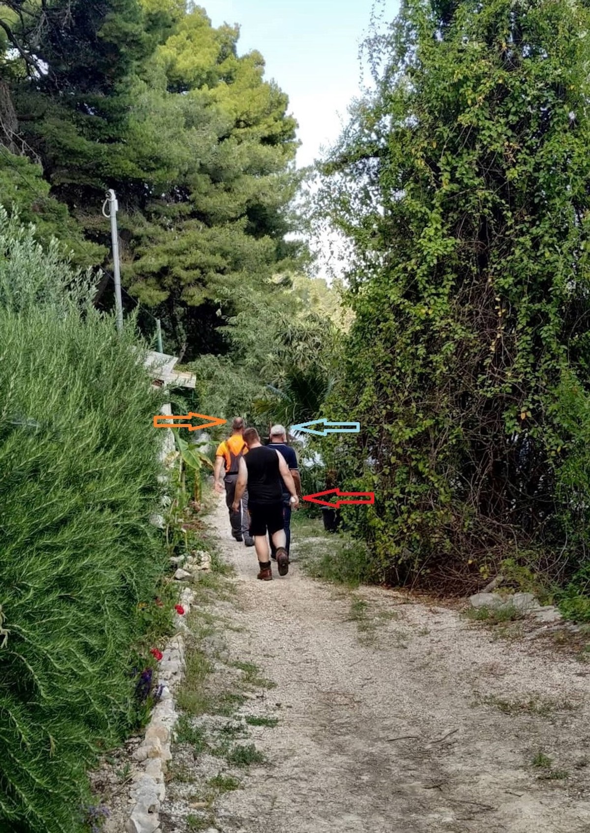 DR. SMODLAKA Odmetnuti profesor Ruščiċ glavni je ideolog pustošenja Marjana!