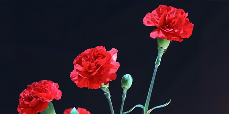 Prosječna mirovina branitelja iz Domovinskog rata iznosi 6200 kuna. Znate li koliko dobivaju borci iz NOB-a?