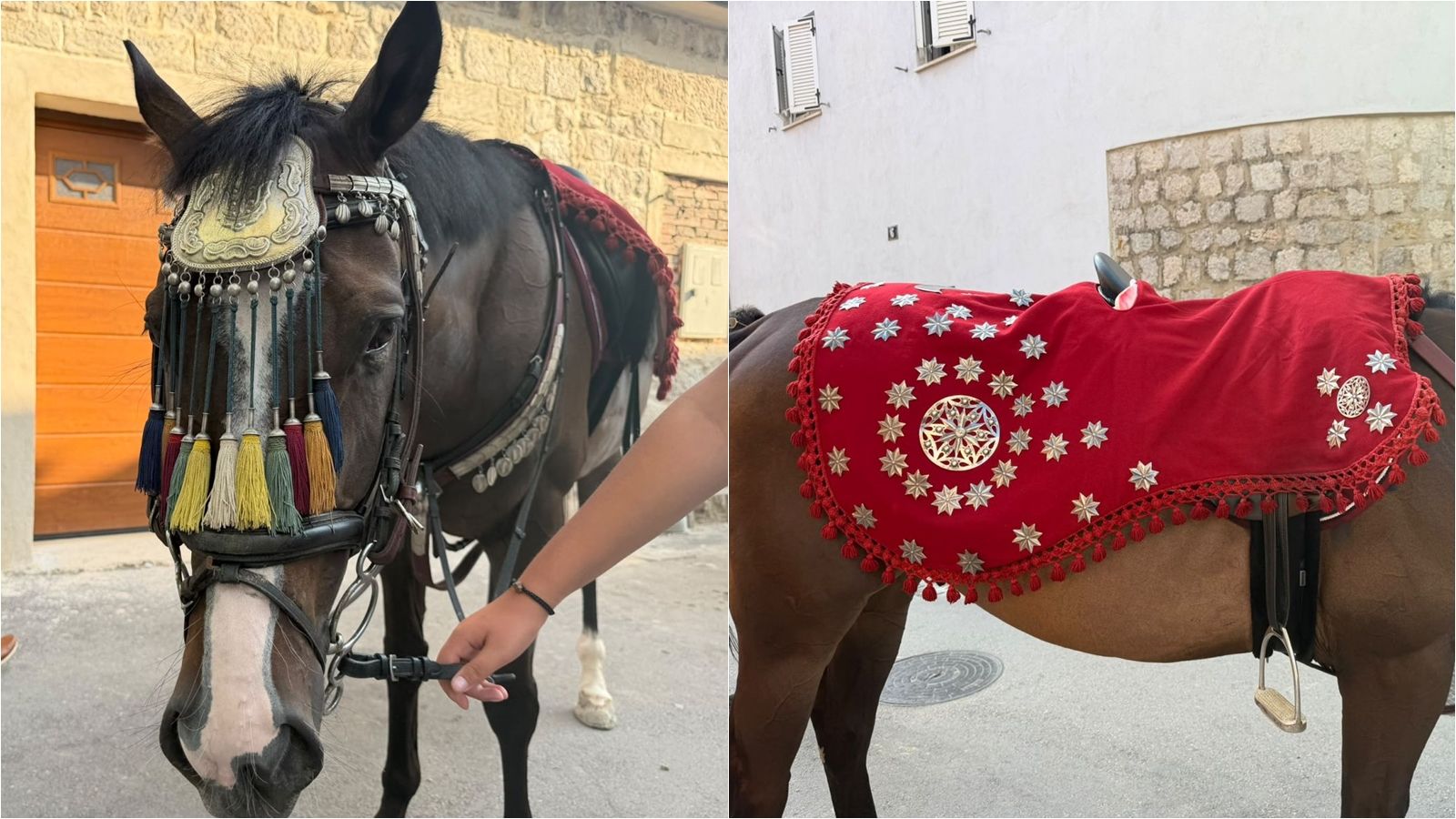 FOTO/VIDEO Pogledajte raskoš alkarskih konja