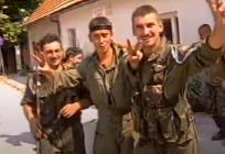 Političar se prisjetio krvave bitke kod Grahova: 'Pali su naši suborci. Ali hrvatska obrana nije pala'