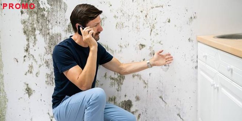 5 najčešćih pitanja o pojavi vlage i plijesni u kući i stanu