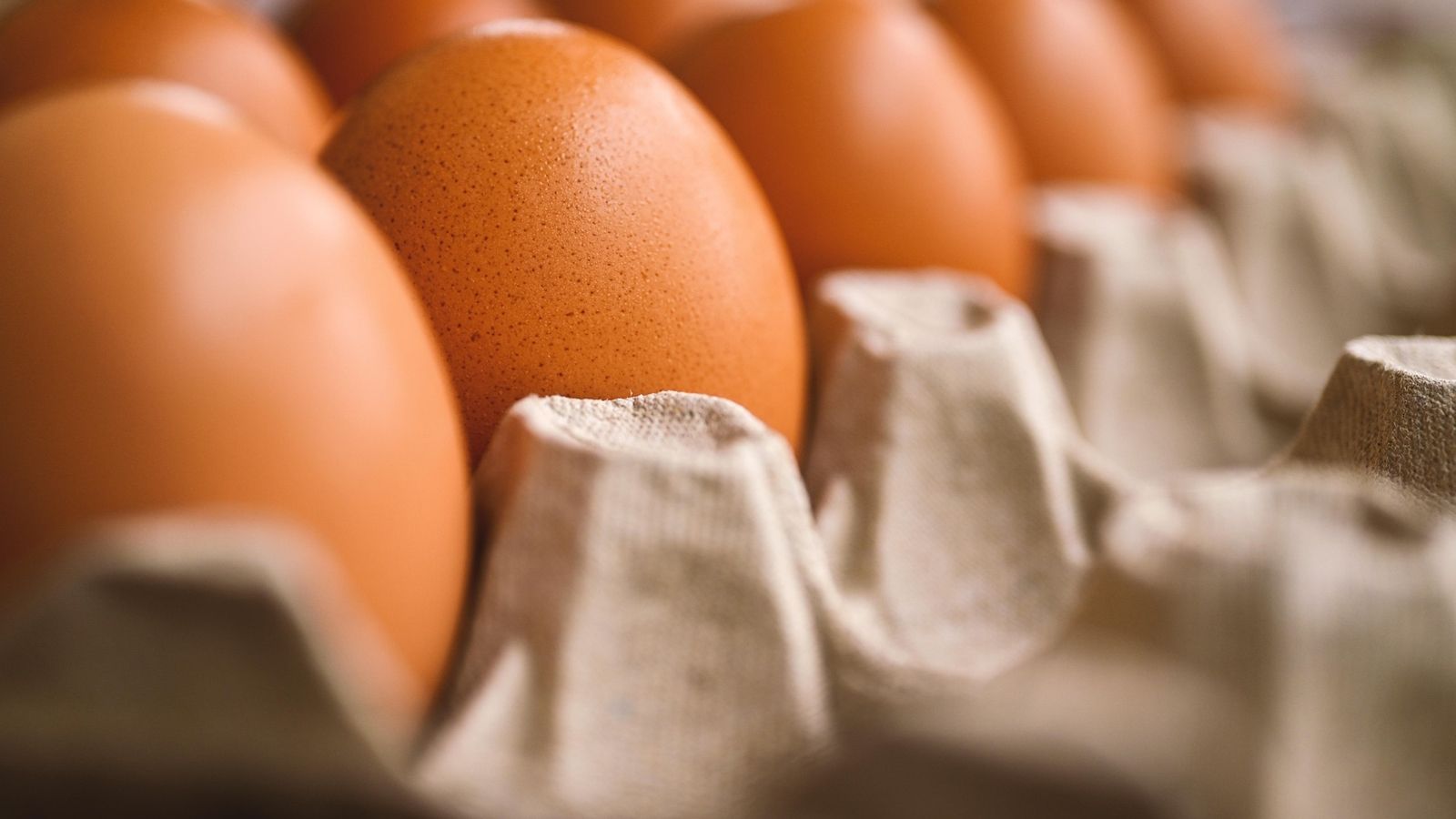OPREZ! U domaćim jajima otkrivena salmonela