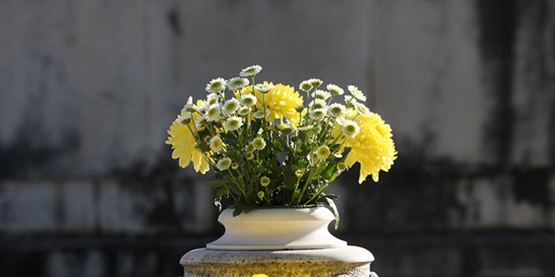 Sutra su Svi sveti, evo što oni predstavljaju