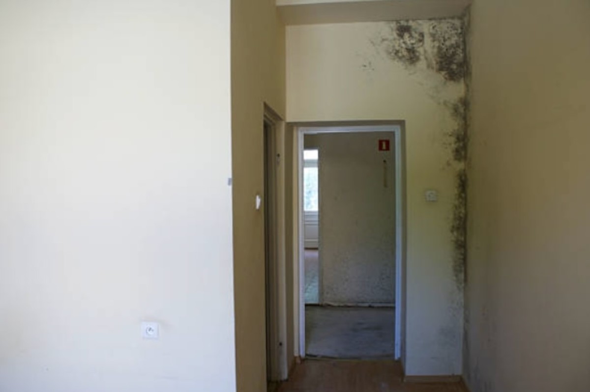 Prozračimo Hrvatsku - za život bez vlage i plijesni