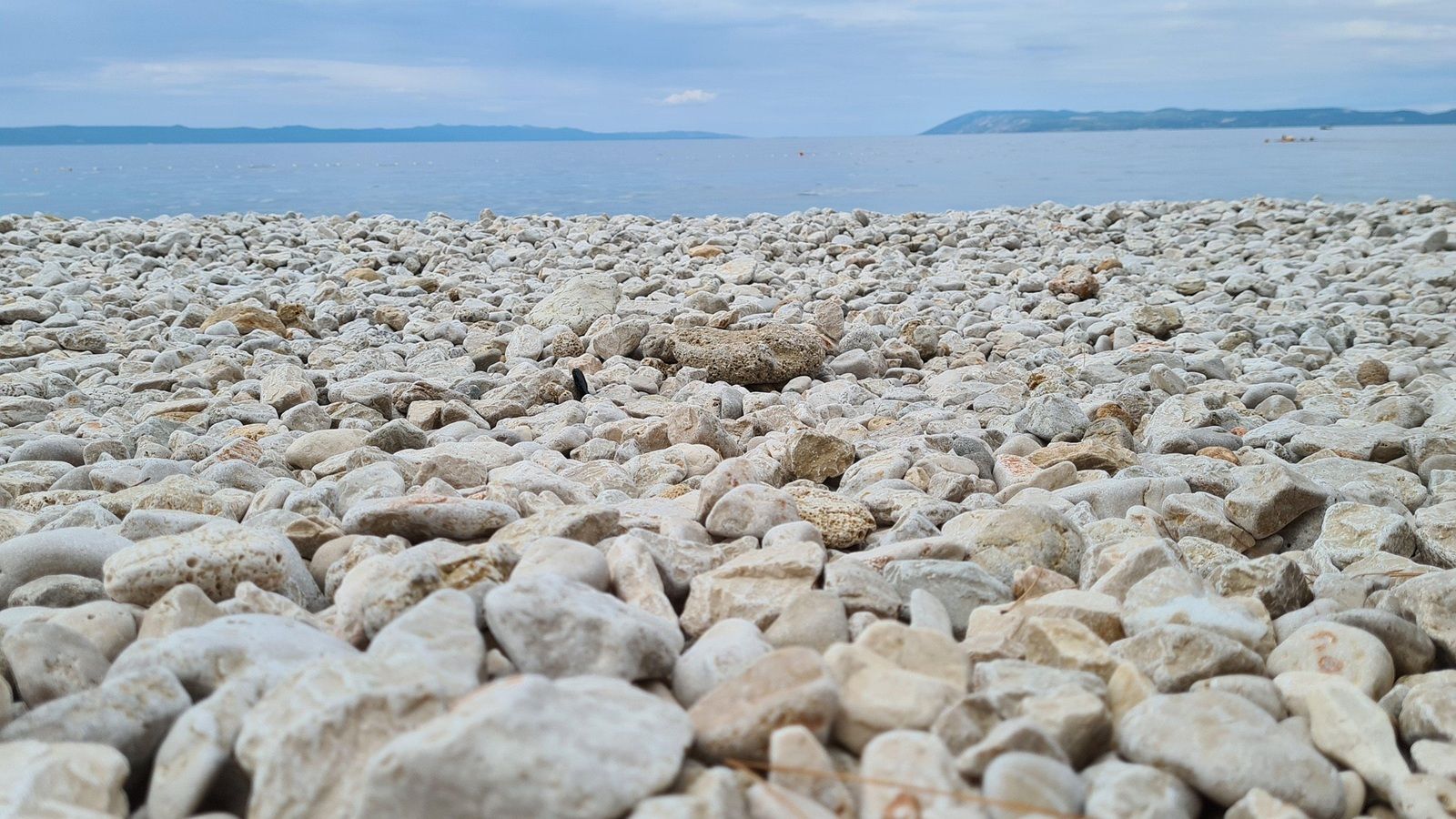 NE KUPAJTE SE! Fekalno zagađenje mora u Stonu