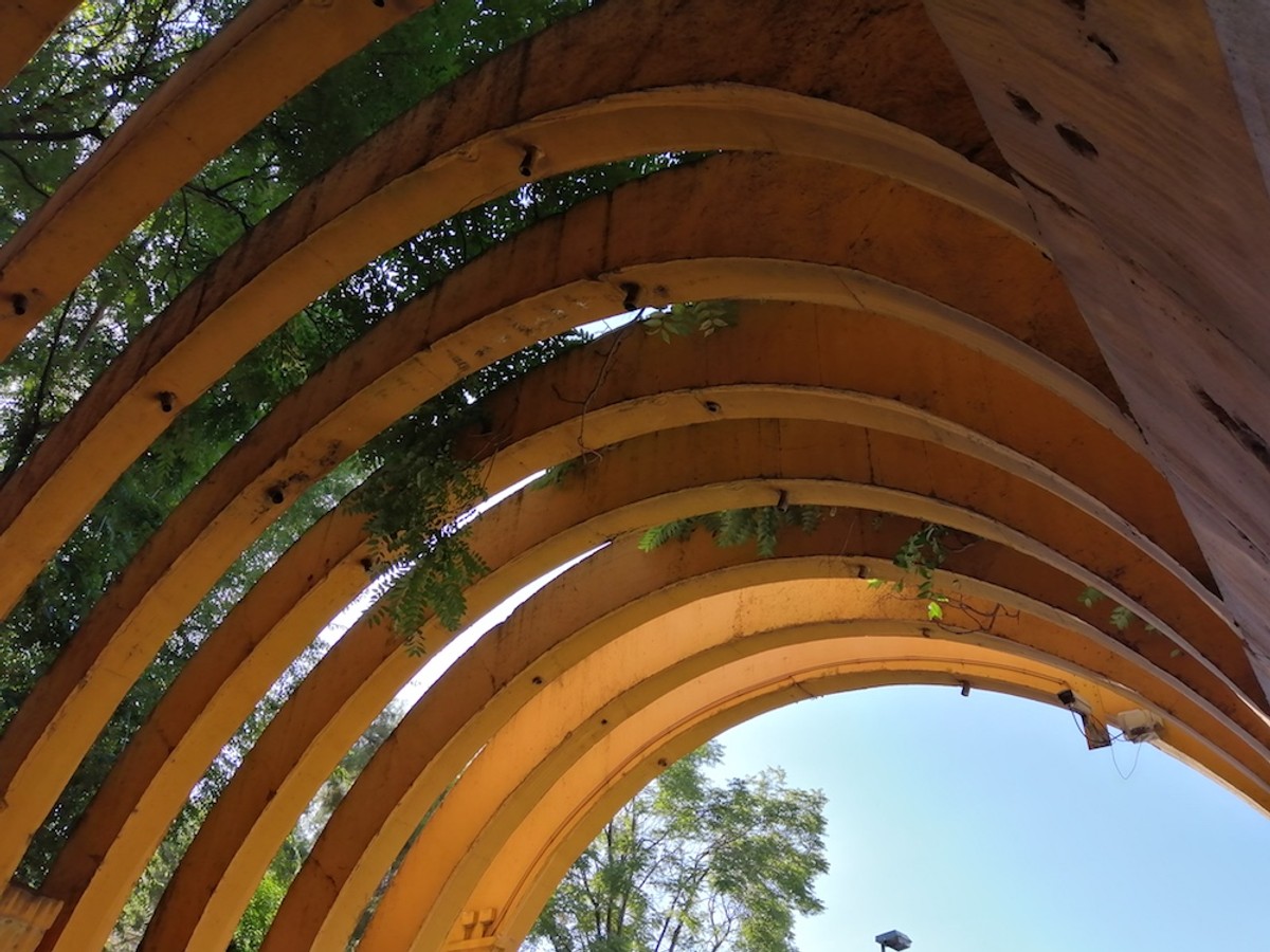 UPOZORENJE DR. KALILIĆA: Agresivni pajasen napao je i Marjanski tunel!