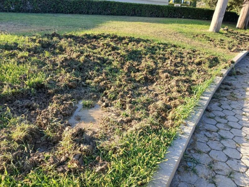 FOTO Pobjegle od velikog požara? Divlje životinje pronašle utočište na Lovrincu
