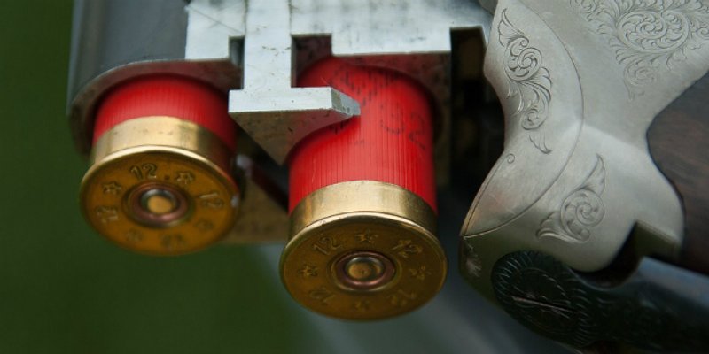 Upucao psa blizu kuće vlasnice