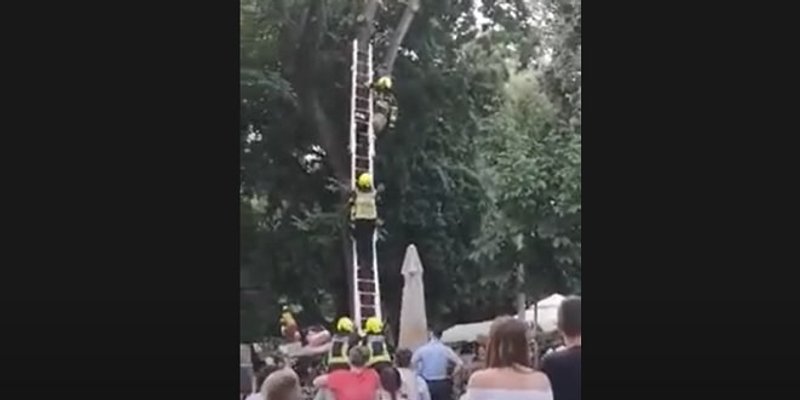 VIDEO: INTERVENCIJA U ĐARDINU POŠLA PO ZLU Vatrogasca udarila grana