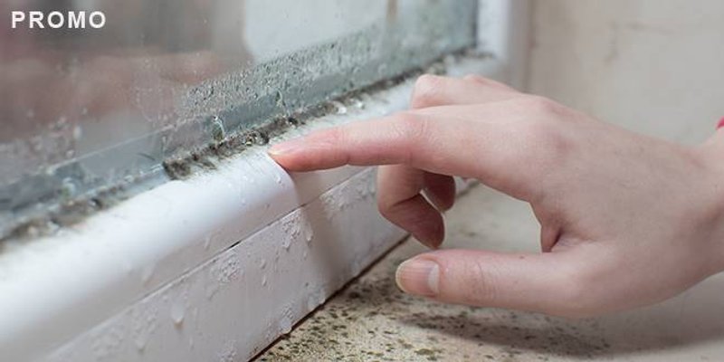 Dugoročno rješenje protiv vlage u kućanstvima - decentralizirani ventilacijski sustavi