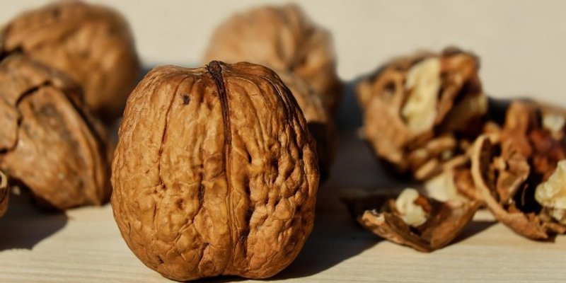 ORAŠASTI PLODOVI Koji su najzdraviji, a koje je bolje izbjegavati?