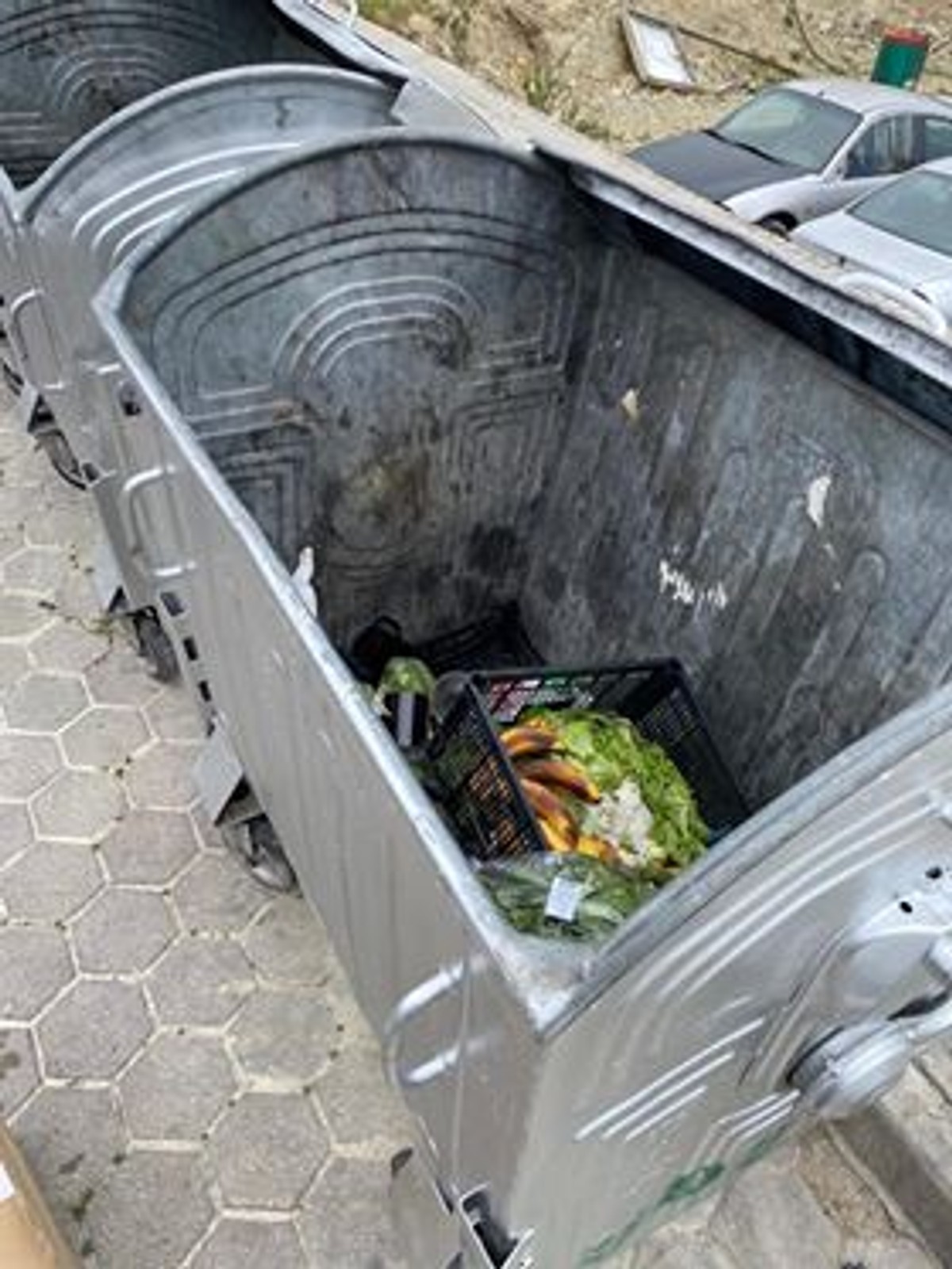 NEVJEROJATNO: U ovo vrijeme Splićani bezdušno bacaju hranu