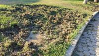 FOTO Pobjegle od velikog požara? Divlje životinje pronašle utočište na Lovrincu
