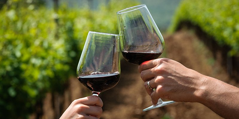 Još dva dana za prijave: Provedi subotu u jematvi i dobij svoje vlastito vino!