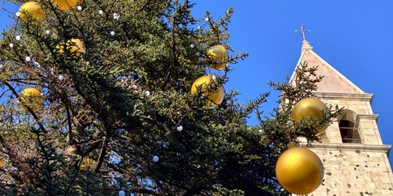 FOTOGALERIJA Bor iz centra Splita izazvao žustre rasprave