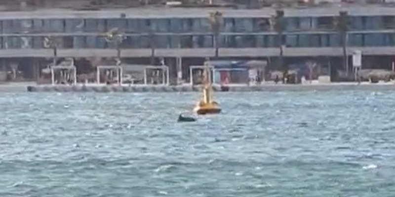 VIDEO Dupini uveseljavali Splićane