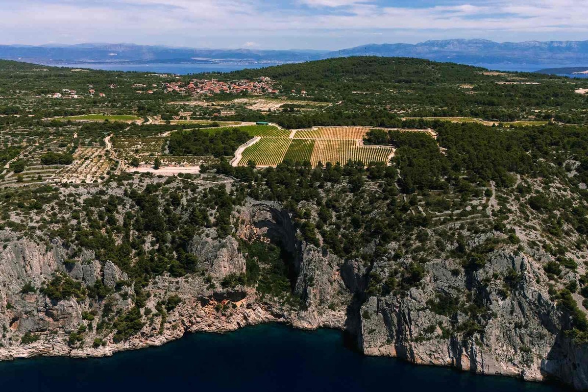 Hrvatska slavi platinu na Decanteru: Dalmatinska vinarija Markus osvojila svjetski vrh