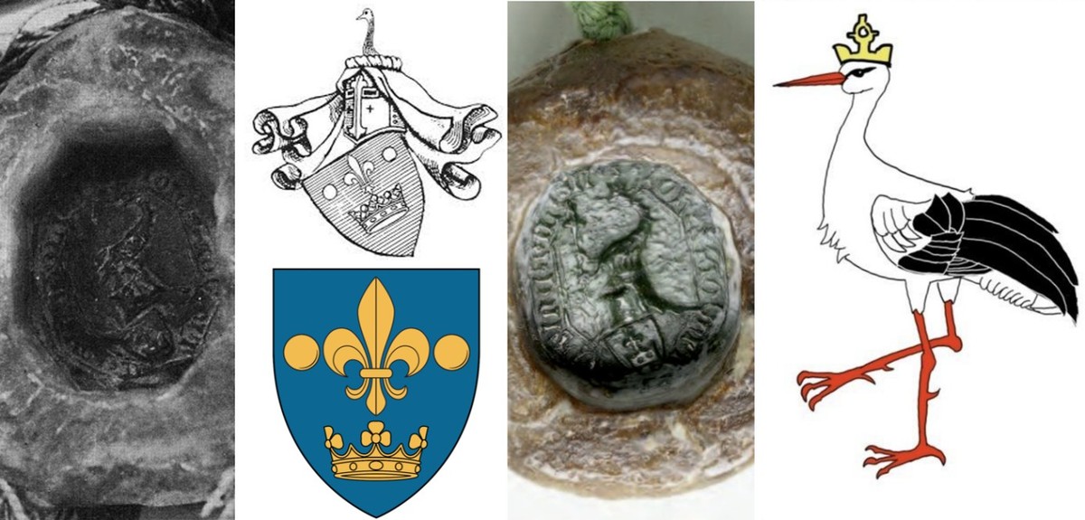 Heraldika Nelipčića u sjeni Šubića i Kotromanića: Politička simbolika između krune, ljiljana i bedema