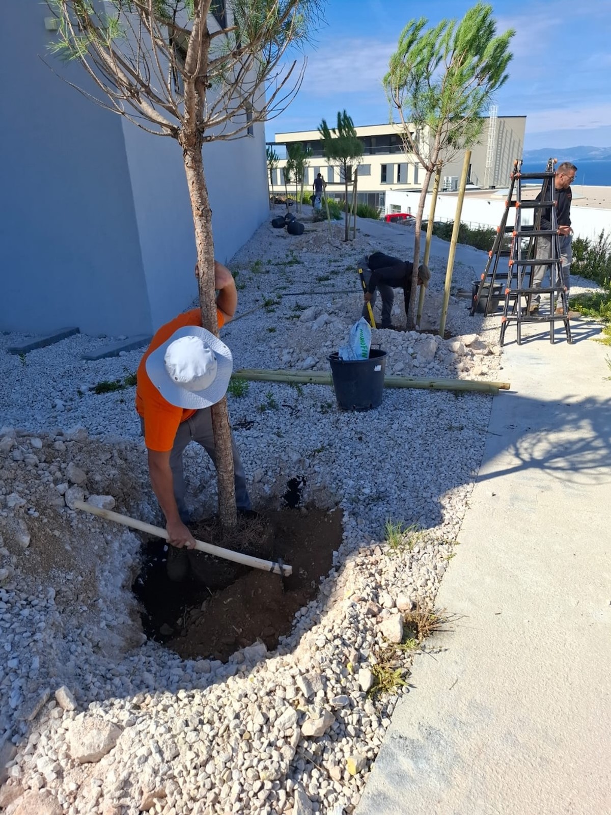 FOTO Zelenilom protiv vrućina: Supetar završio projekt vrijedan 218.000 eura