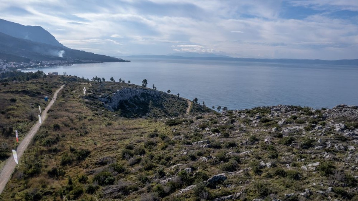 Pošumljavanje | foto: Roman Avdagić