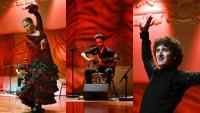 FOTO Storm of Love Barcelona Flamenco Balleta oduševio Splićane u Hrvatskom domu