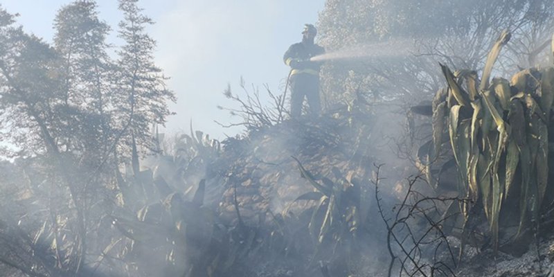 VIDEO Grom izazvao manji požar na Hvaru