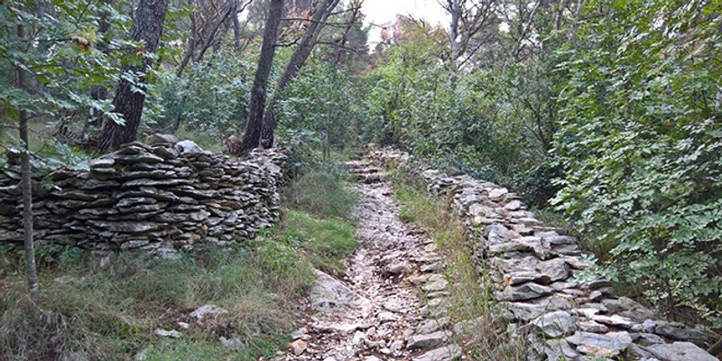 MRTAV LEŽAO POLA GODINE? Na Marjanu nađeno poluraspadnuto tijelo starije osobe