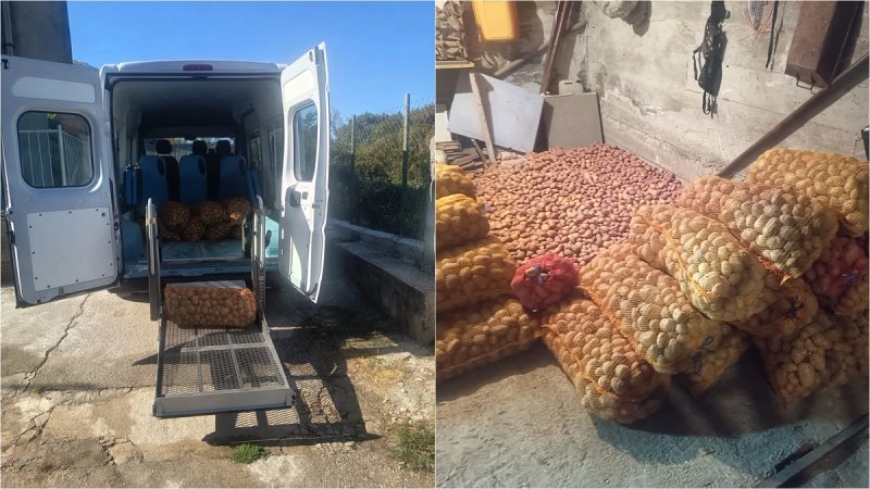 Velika donacija iz Muća: Centru Juraj Bonači Zdravko Jeličić darovao 500 kilograma krumpira