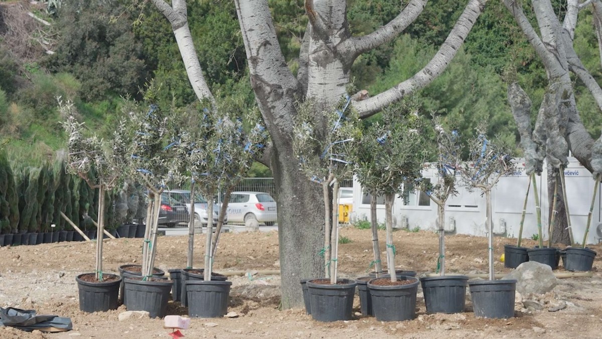ŽNJAN IZ ZRAKA: Završeni glavni radovi, u tijeku je hortikulturno i završno uređenje!