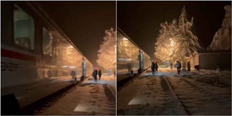 AUTOBUSOM DALJE Vlak iz Zagreba udario u grane na pruzi