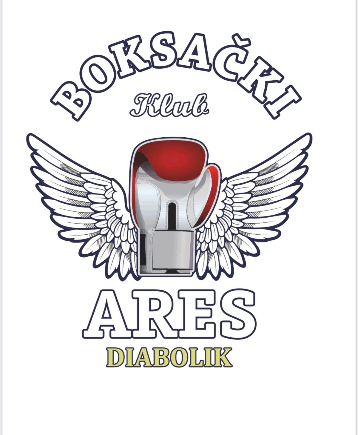 BOKSAČKI SPEKTAKL U ZADRU Međunarodni humanitarni turnir 'Memorijal Damira Zrilića'