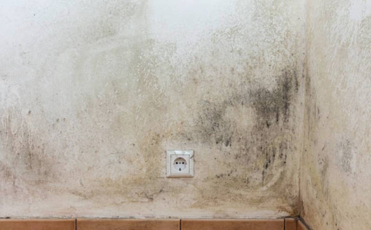 Topli dani, vlažni zidovi: Ljetna vlaga već kuca na vrata!