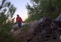Tužan kraj potrage na Zlarinu: Pronađeno tijelo nestalog muškarca