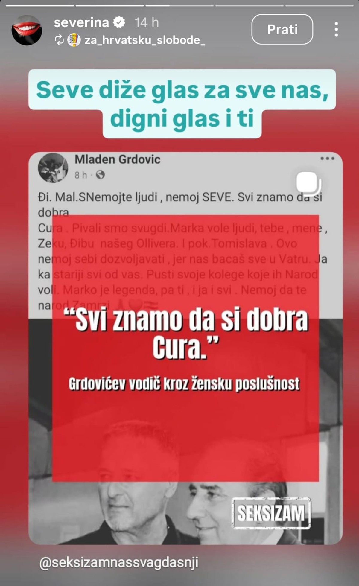 SEVERINA ODGOVORILA GRDOVIĆU 'Svi znamo...'