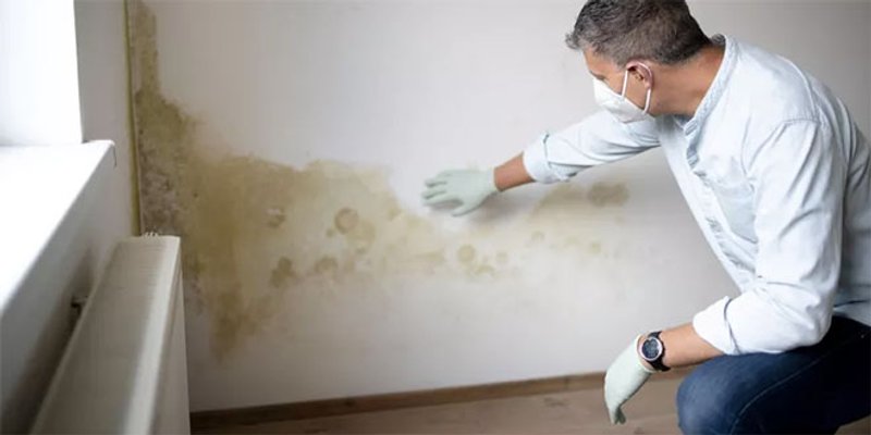Pet najčešćih pitanja vezano uz pojavu vlage ili plijesni u kući/stanu