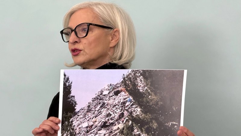 dušica radojčić možemo