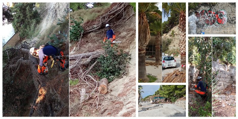 FOTO: MARJAN Sređuje se Kaštelet, alpinisti pilaju suhe grane i stabla