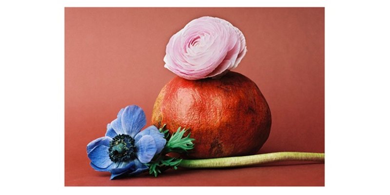 ANĐELA VIDIĆ: Ravnoteža privida