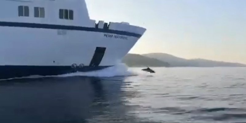 VIDEO Dupin 'proveo' Petra Hektorovića kroz Splitska vrata