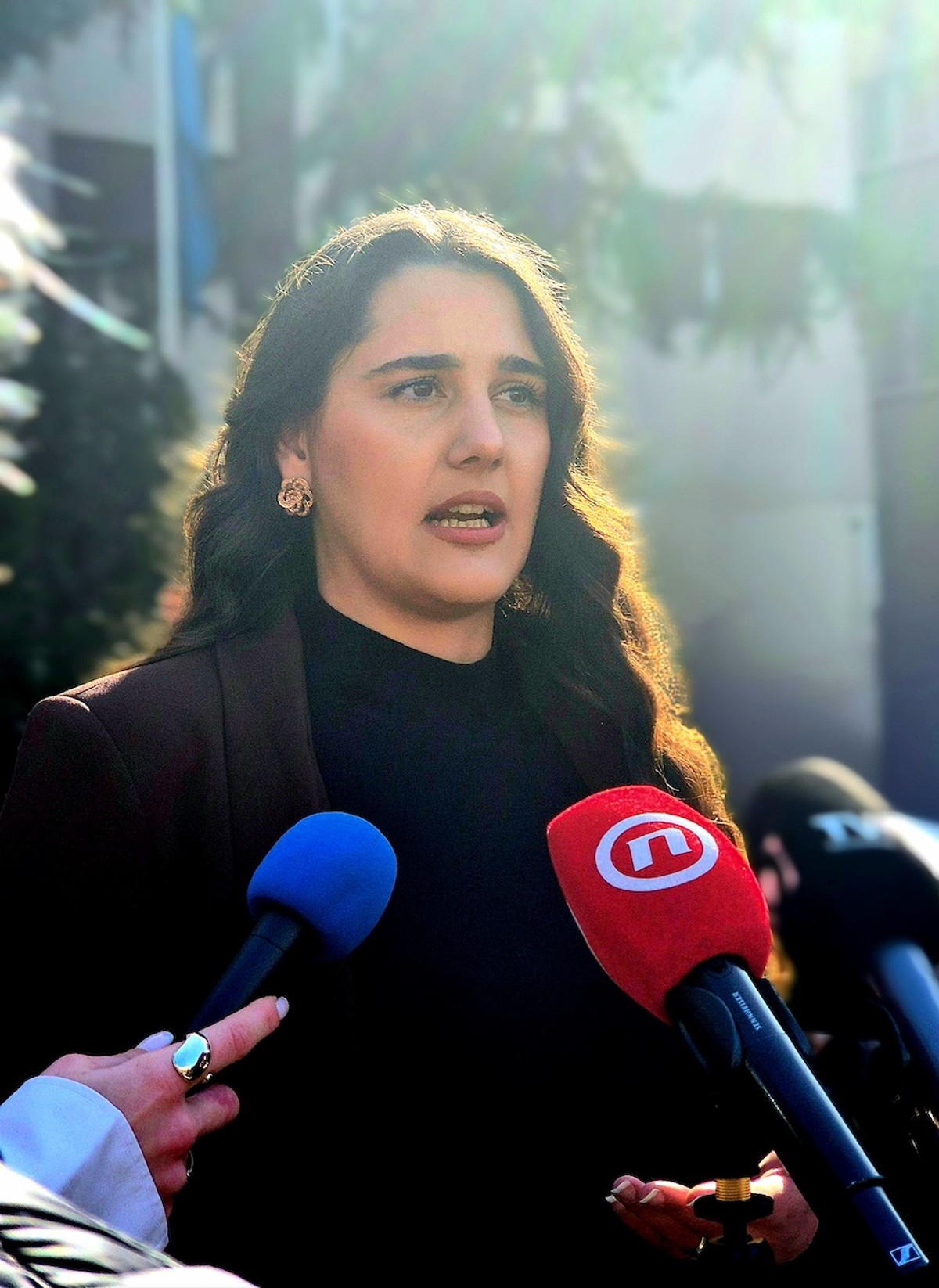 Bulj pred zgradom Županije