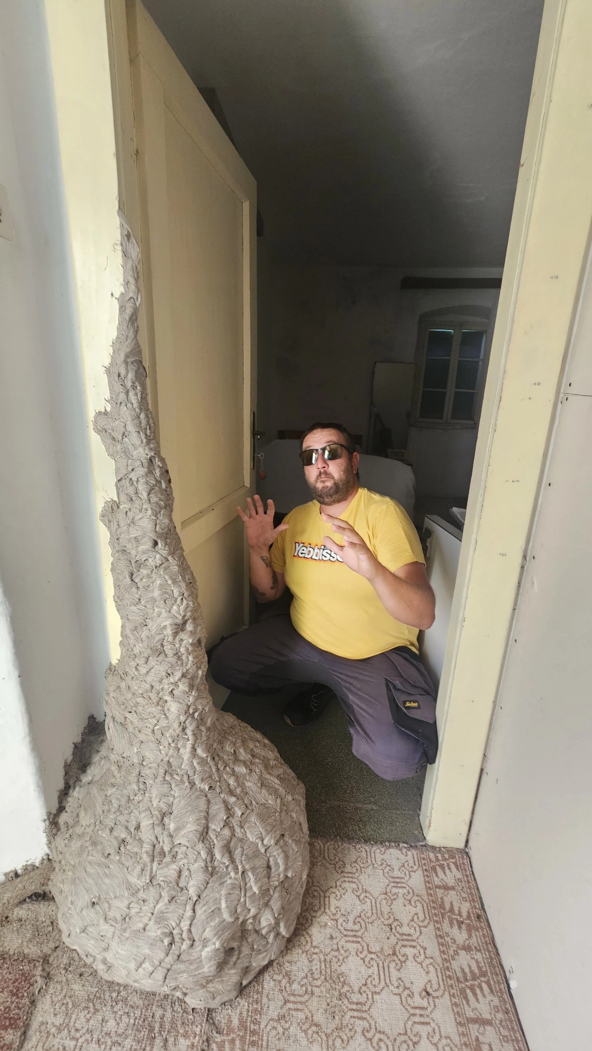 FOTO Ogromno gnijezdo stršljena nije na Braču nego na - Šolti!