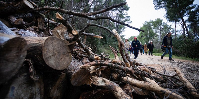Na Marjanu se dogodila nesposobnost, nestručnost i lijenost, ali ne i kriminal