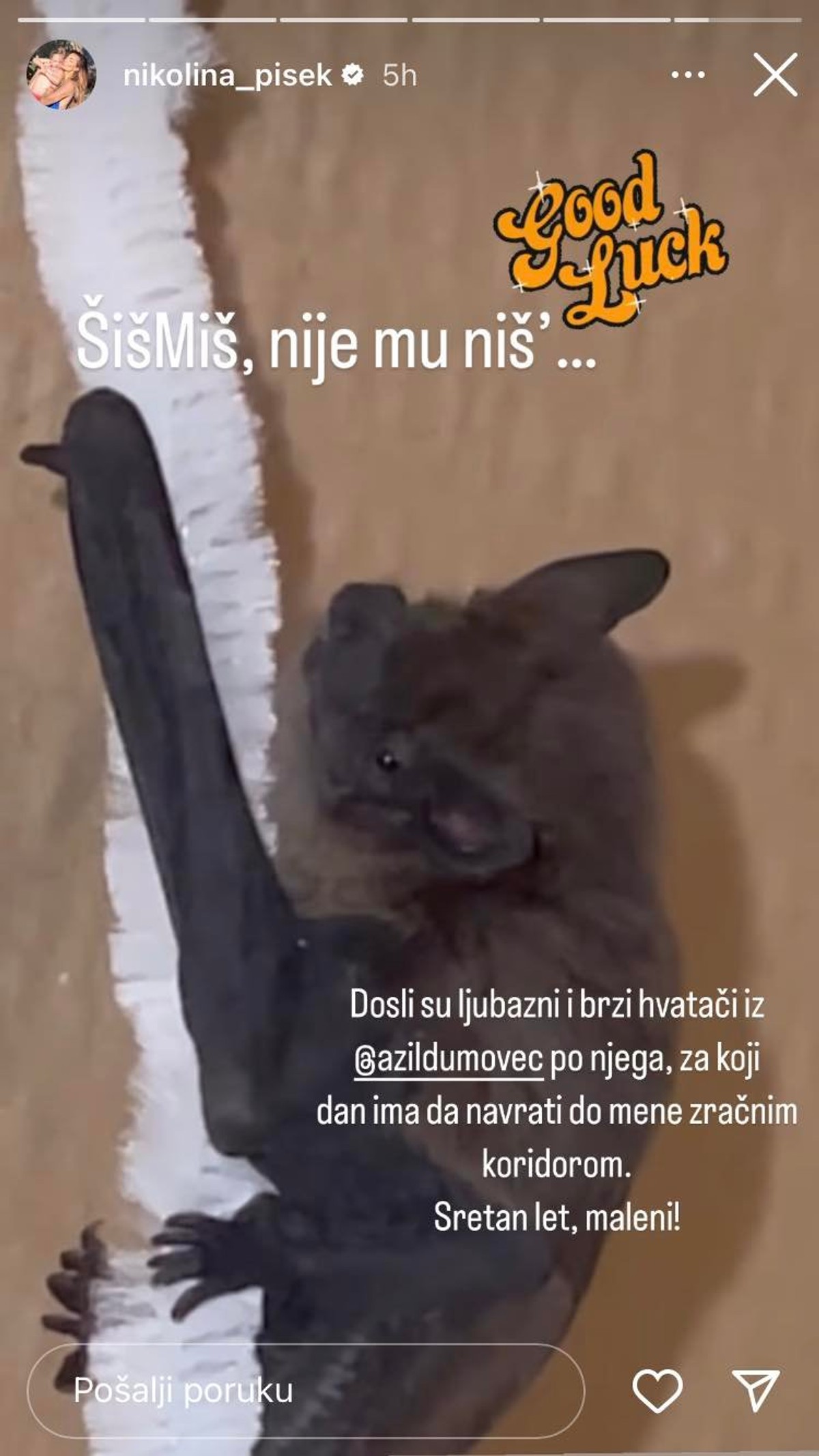 Nikolina Ristović spasila ozlijeđenog šišmiša, pogledajte što je napravila