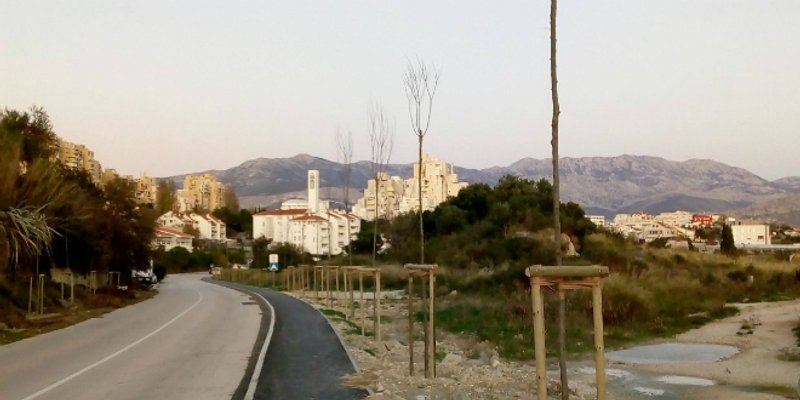 GRAD SPLIT O DRVOREDU U BRAČKOJ: 'Ako projekt bude zahtijevao, uklonit će se nekoliko stabala'