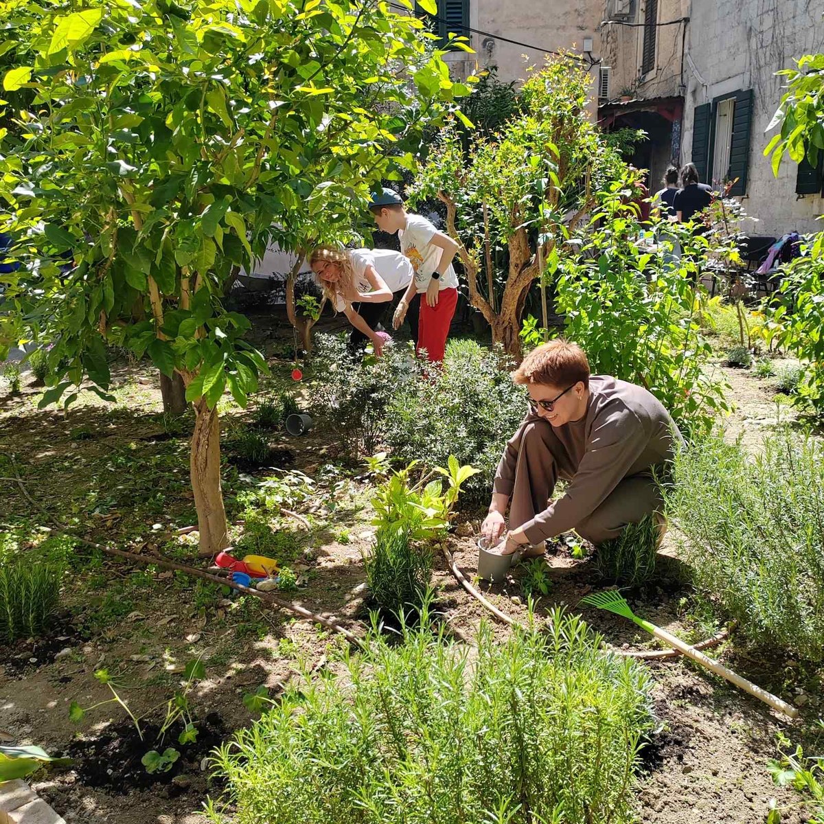 Uređenje Vrtla u Dominisovoj
